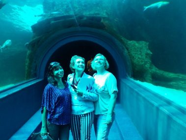 Excursion Table Mountain