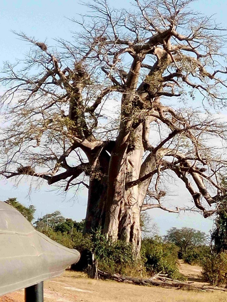 Зимбабве, Сан-Сити, Садовый Путь, Кейптаун